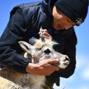 微信分享圖