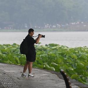 微信分享圖