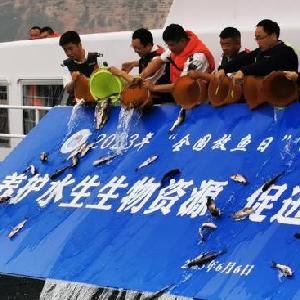 微信分享圖