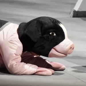 微信分享圖