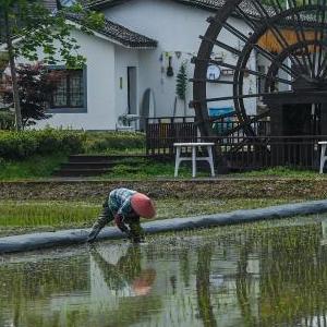 微信分享圖