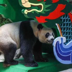 微信分享圖