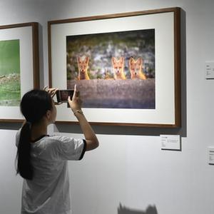 微信分享圖