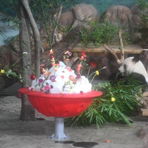 微信分享圖