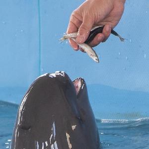 微信分享圖