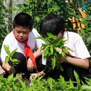 微信分享圖