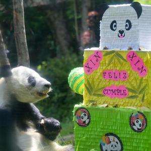 微信分享圖
