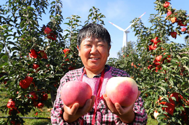 新華全媒+丨糧果豐收在望，農(nóng)民喜上心頭