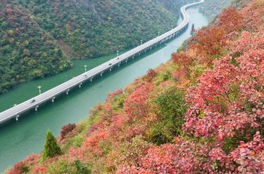 湖北宜昌：“水上公路”入畫來