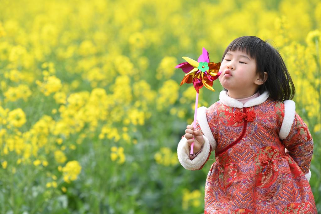 踏青賞花 樂享春光