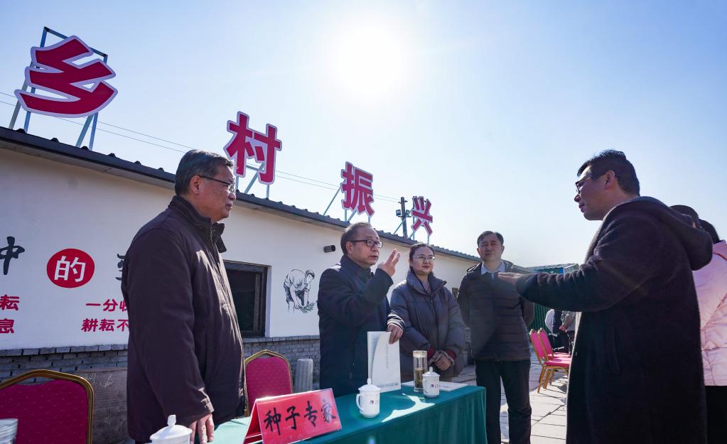 山東啟動“穩糧保供”農技服務行動