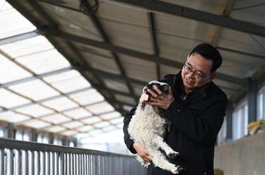 代表風采錄丨董全民：做高原畜牧產業良性發展的推動者