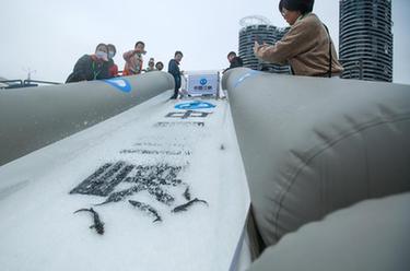 中華鱘保護日 湖北宜昌舉行中華鱘放流活動