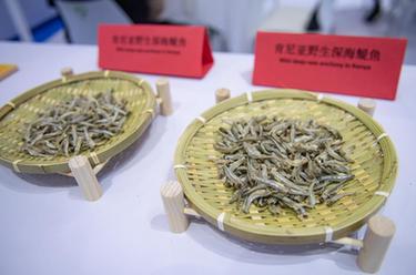 中國首次進口肯尼亞野生鳀魚產品亮相中非經貿博覽會