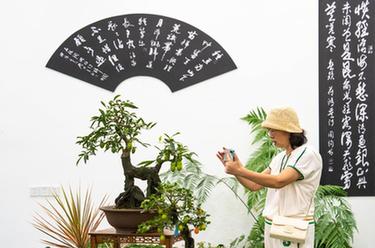 第二屆湖南花卉苗木博覽會在湘潭開幕