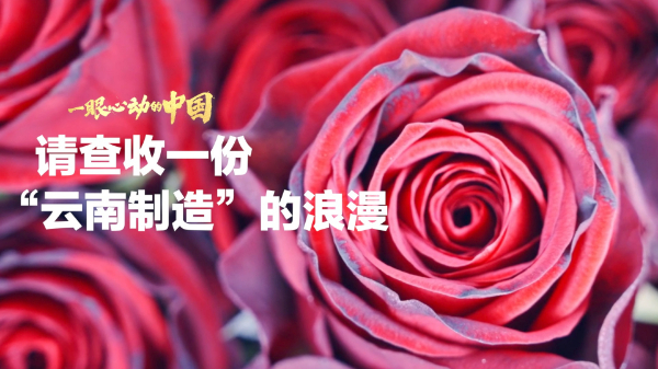 一眼心動的中國丨請查收一份“云南制造”的浪漫