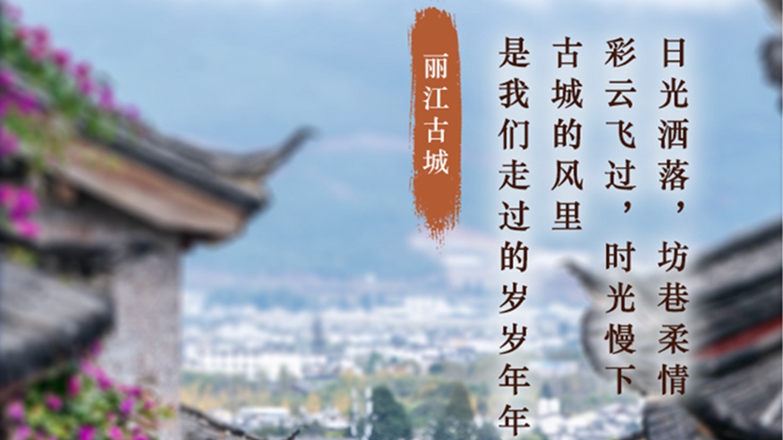 學習進行時丨這些老街舊巷，在時光里綻放芳華