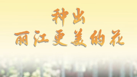 第1視點丨種出麗江更美的花