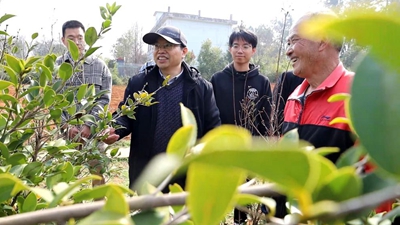 劉木華：去田間地頭和企業一線