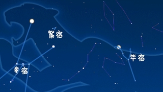 虎年來了，抬頭尋找天上的“白虎”