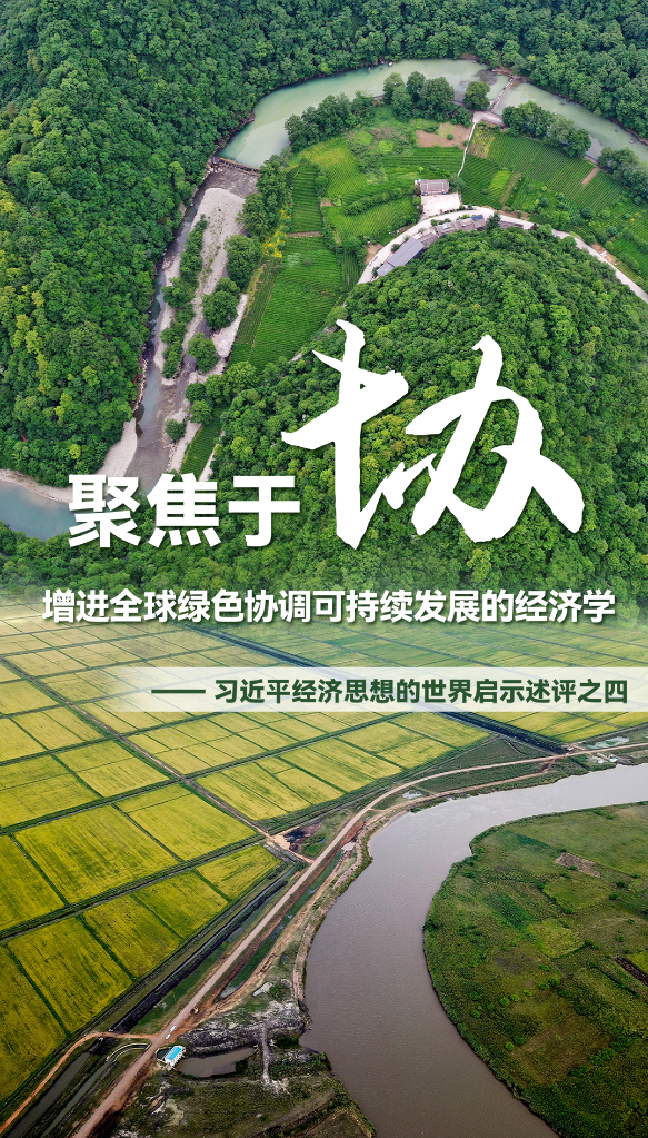 聚焦于“協(xié)”，增進全球綠色協(xié)調(diào)可持續(xù)發(fā)展的經(jīng)濟學(xué)