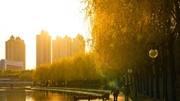 堅(jiān)持必能勝利——寫在吉林省生產(chǎn)生活秩序有序恢復(fù)之際