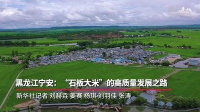 黑龍江寧安：“石板大米”的高質量發展之路