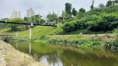 四川內江：一滴污水的“再生之旅”