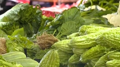 農業農村部：多措并舉 力促秋冬蔬菜穩產保供